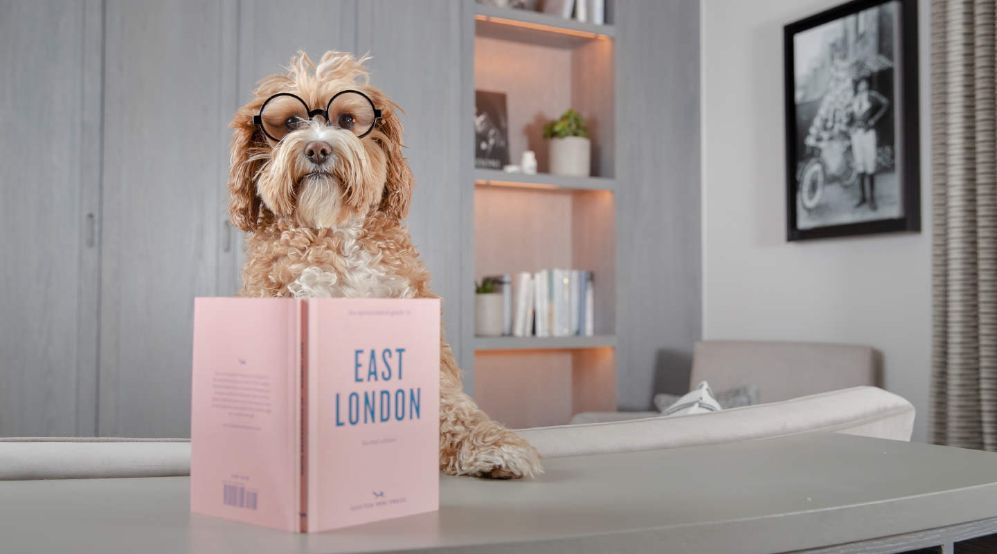 Female standing at a rail looking at the ocean